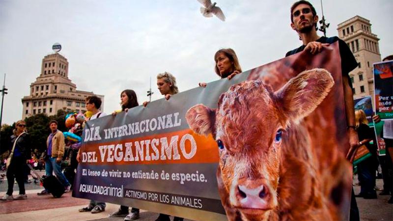 Día Mundial Del Veganismo Por Qué Se Celebra El 1 De Noviembre Ip Información Periodística 3852