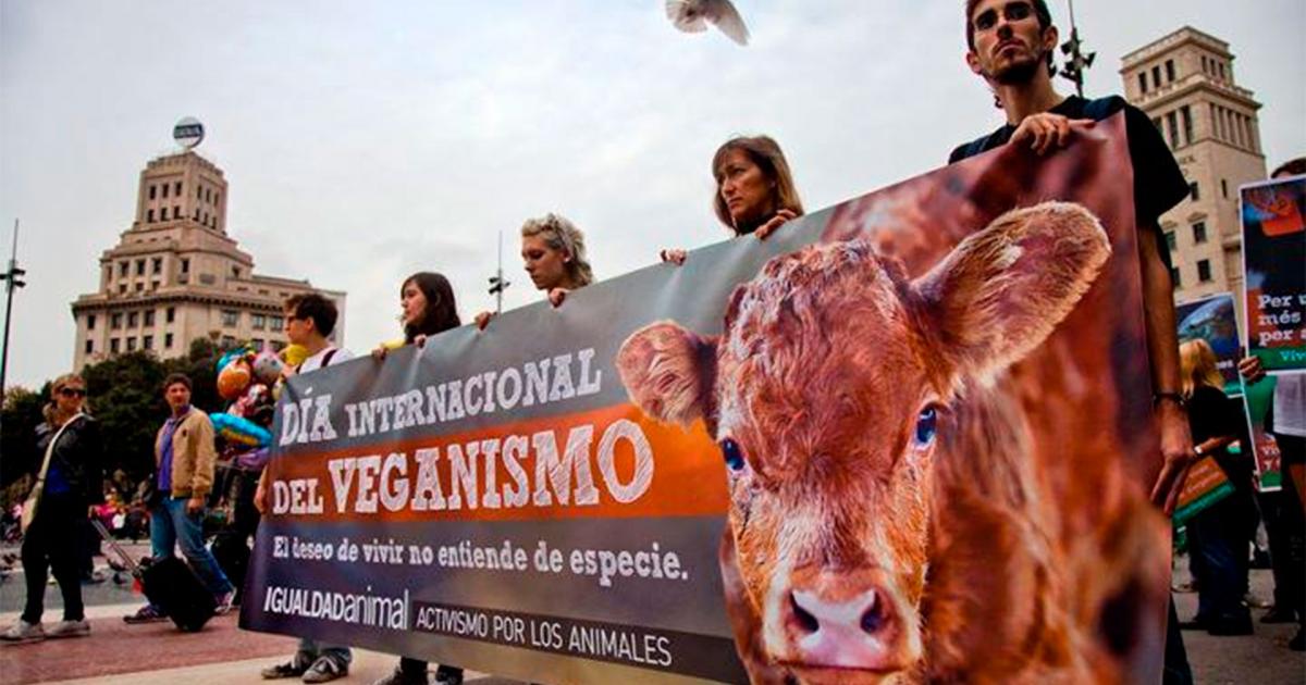 Día Mundial Del Veganismo Por Qué Se Celebra El 1 De Noviembre Ip Información Periodística 9869